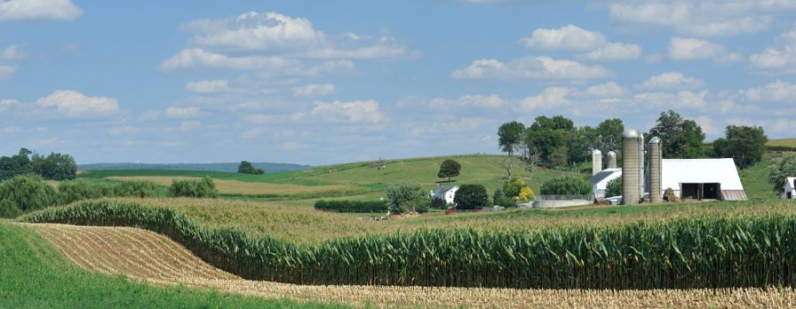 Farm Tax & Financial Planning Strategies for 2022
